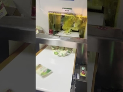 पैकेज लाइन के लिए खाद्य सुरक्षा के लिए ऑटो कन्वेयरिंग धातु डिटेक्टर, 300*150 मिमी सुरंग आकार