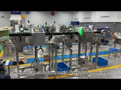 ध्वनि और प्रकाश अलार्म के साथ खाद्य ग्रेड कन्वेयर धातु डिटेक्टर उपकरण