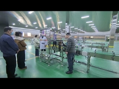 उद्योग के लिए खाद्य एक्स-रे निरीक्षण मशीन डिब्बाबंद पालतू जानवरों के लिए बोतलबंद उत्पाद पैकेज