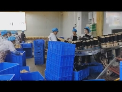 डिजिटल सिग्नल प्रोसेसिंग और ओईएम के साथ स्टेनलेस 304 खाद्य धातु डिटेक्टर की पूरी संरचना लेता है