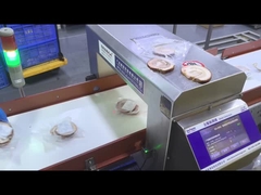 स्वचालित कन्वेयर औद्योगिक खाद्य ग्रेड धातु डिटेक्टर सुरक्षा उपकरण मशीन अनुकूलित OEM