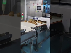 स्वचालित कन्वेयर धातु डिटेक्टर 0.5 मिमी संवेदनशीलता खाद्य / कॉस्मेटिक कच्चे माल निरीक्षण