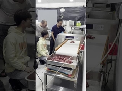 फूड ग्रेड मेटल डिटेक्टर