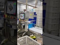 उद्योग के लिए गीले सूखे खाद्य पदार्थ एक्स-रे निरीक्षण मशीन डिब्बाबंद बोतलबंद उत्पाद पैकेज