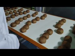 खाद्य प्रसंस्करण के लिए 0.01g रिज़ॉल्यूशन मेटल डिटेक्टर आपके उत्पादों को धातु संदूषण से बचाता है