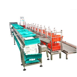 उच्च सटीक Checkweigher कन्वेयर वजनी मशीन पैकिंग के लिए
