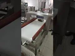 प्लास्टिक के लिए अनुकूलित सुरंग बेल्ट कन्वेयर धातु डिटेक्टरों - प्रसंस्करण उद्योग